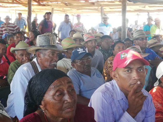 Los nativos de la etnia Wayúu trabajan para el plan de salvaguarda en la zona norte de la alta Guajira. Foto Olimpia Palmar, especial para La Guajira Hoy.