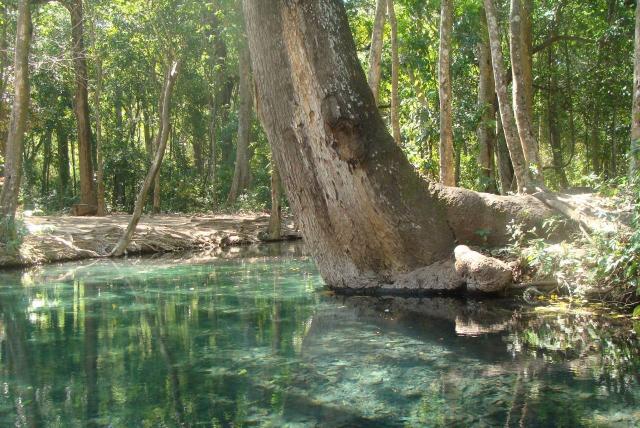 El río Cañaverales está muriendo rápidamente, con la nueva práctica de deforestación que le están haciendo ahora.