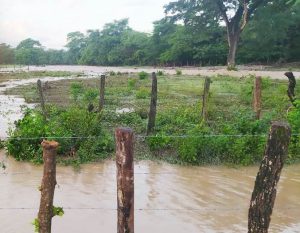Las lluvias este fin de semana en zona rural de Barrancas, causaron muchos daños.