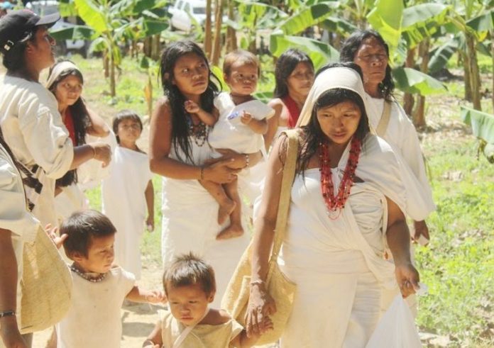 Activan protocolo de atención integral en salud a la comunidad indígena Taminaka, ubicada sobre la cuenca del rio Palomino. Foto netamente ilustrativa.