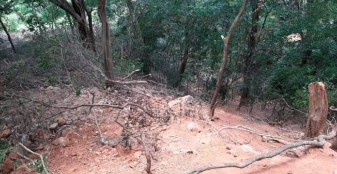 Dos obras que extraían ilegalmente mineral de barita en las veredas Las Colonias y Puerto López, en el municipio sureño de Fonseca, fueron suspendidas por CorpoGuajira.