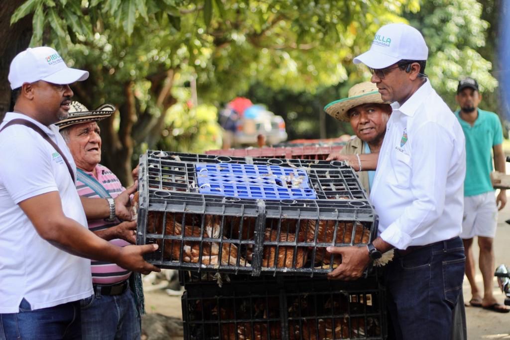 El alcalde de Dibulla, Marlon Amaya Mejía en compañía del secretario de Desarrollo Económico Naíl Cardozo Quintero llevando a las diferentes veredas las gallinas ponedoras para que sus habitantes se ayuden en la alimentación con los huevos.