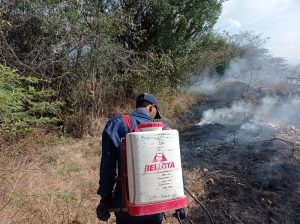 La quema en las cunetas en la vía que de Fonseca conduce al corregimiento de Conejo, podría estar generando incendios forestales.