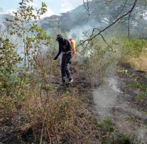 Miembros del Cuerpo de Bomberos del municipio de Fonseca atendiendo a los diferentes incendios que se presentan en el municipio.