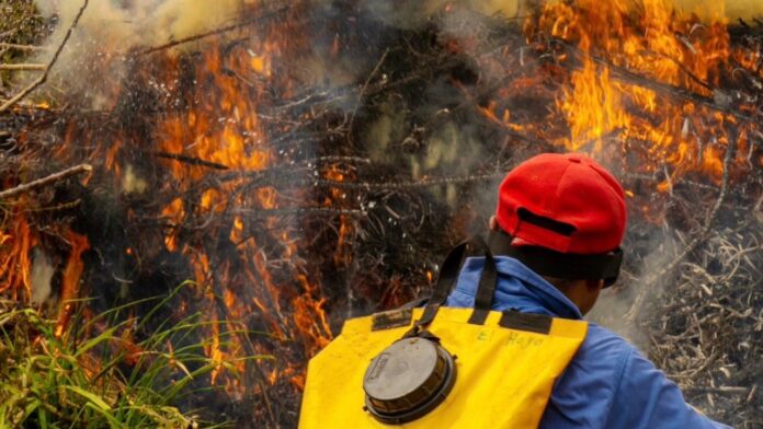 Si se presenta un incendio en el distrito de Riohacha, difícilmente el cuerpo de Bomberos, tiene recursos para trasladarse.