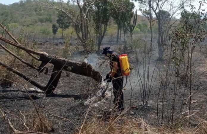 Las altas temperaturas terminan provocando incendios forestales en la zona rural del municipio de Fonseca.