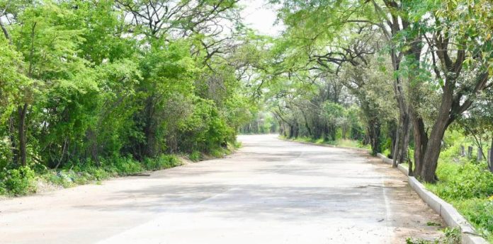 Esta es la vía que pavimentó la administración municipal de Barrancas, a la comunidad de Barrancón.