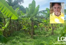 Campesino es asesinado en zona rural de Dibulla en hechos que siguen bajo verificación