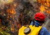 Alerta roja por incendios forestales activos Alerta roja en La Guajira por probabilidad de incendios en la cobertura vegetal.