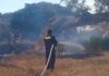 Bomberos de Fonseca atienden accidente vial e incendio forestal en zona rural