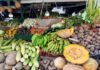 Alza de precios en frutas y verduras en Riohacha Frutas y verduras registran variaciones de precio a comienzos de año por baja producción y abastecimiento.