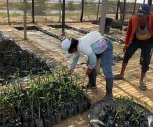 Corpoguajira adelanta labores de seguimiento y control ambiental para la protección y conservación de los humedales en La Guajira.